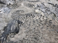Slate Drawing, Newport Sands, Pembrokeshire July 2018