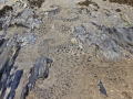 Slate Drawing, Newport Sands, Pembrokeshire July 2018