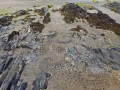 Slate Drawing, Newport Sands, Pembrokeshire July 2018