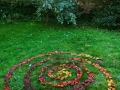 Crab Apple Leaf Spiral, Herefordshire, November 2018