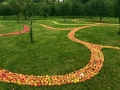 Apple Drawing Out of Nature 2017 6