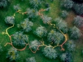 Aerial Photograph at 500ft , 100ft x 80ft, Windfallen Apples