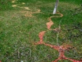 West Section, 100ft x 80ft, Windfallen Apples