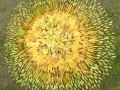 Leaf Drawing, 4ft diameter, mixed fallen leaves