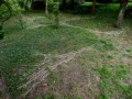 Cow Parsley Drawing, 40 x 30ft, dried cow parsley head and stalks