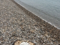 circle-sea