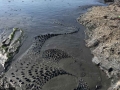slate sea
