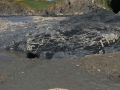cliffs
