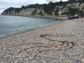 seaweed drawing beer beach