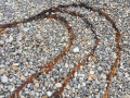 detail 2