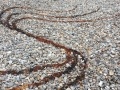 detail 1