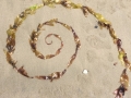 seaweed spiral