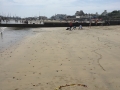 lyme regis beach