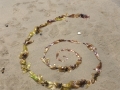 seaweed spiral