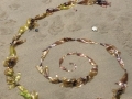 seaweed spiral