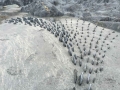detail 2