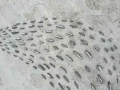 detail 7