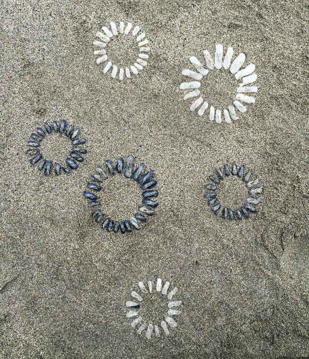jelly circles sand
