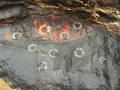 rocks