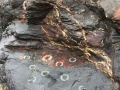 rocks context