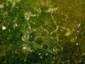 earthwork drawing, aerial view, 100ft x 100ft, lime wash on microgranite