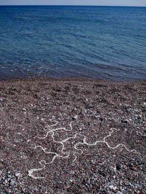 Beach Pebble Drawing, 4ft diameter, found white pebbles