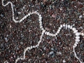 detail, 4ft diameter, found white pebbles