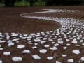Ground level photo of sandstone drawing, 150ft x 110ft, indigenous sandstone and limewash