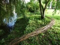 Willow Drawing, 12 x 50ft, found willow cuttings