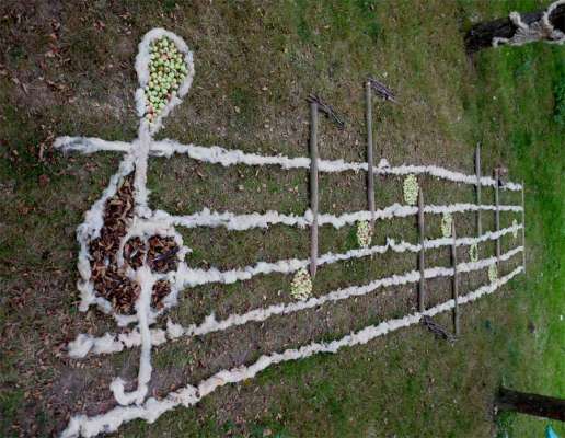 Drawing by Echo group of music in the orchard, 25ft long, sheeps wool, leaves, feathers and cider apples