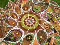 Centre Detail, c. 50ft diameter