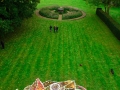 View from cherry picker towards the lake