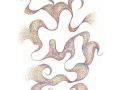 nazca 110107, 53 x 69cm, pigment ink on paper